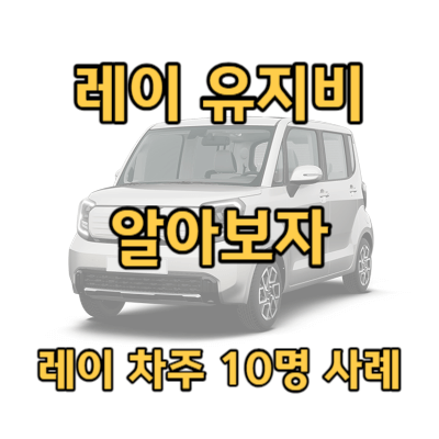 레이 한 달 유지비