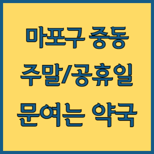 서울시 마포구 중동 주말 문여는 약국