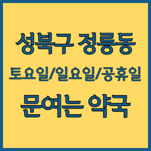 서울 성북구 정릉동 주말 문여는 약국