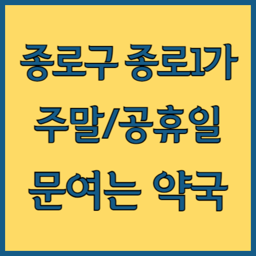 서울 종로구 종로1가 주말 문여는 약국